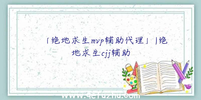 「绝地求生mvp辅助代理」|绝地求生cjj辅助